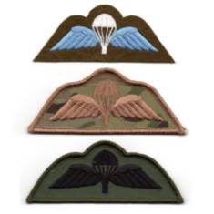 Cloth Jump Wings Patch