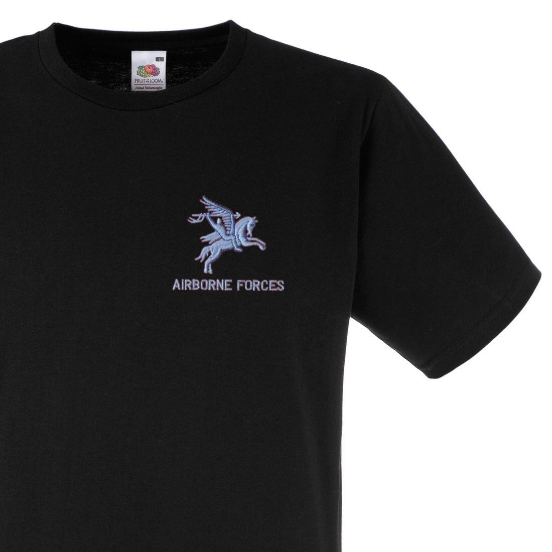 aritzia pegasus t shirt