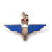 Para Lapel Badge (Blue Wings)