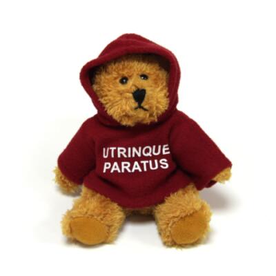 Small Teddy Bear with Utrinque Paratus Maroon Hoody